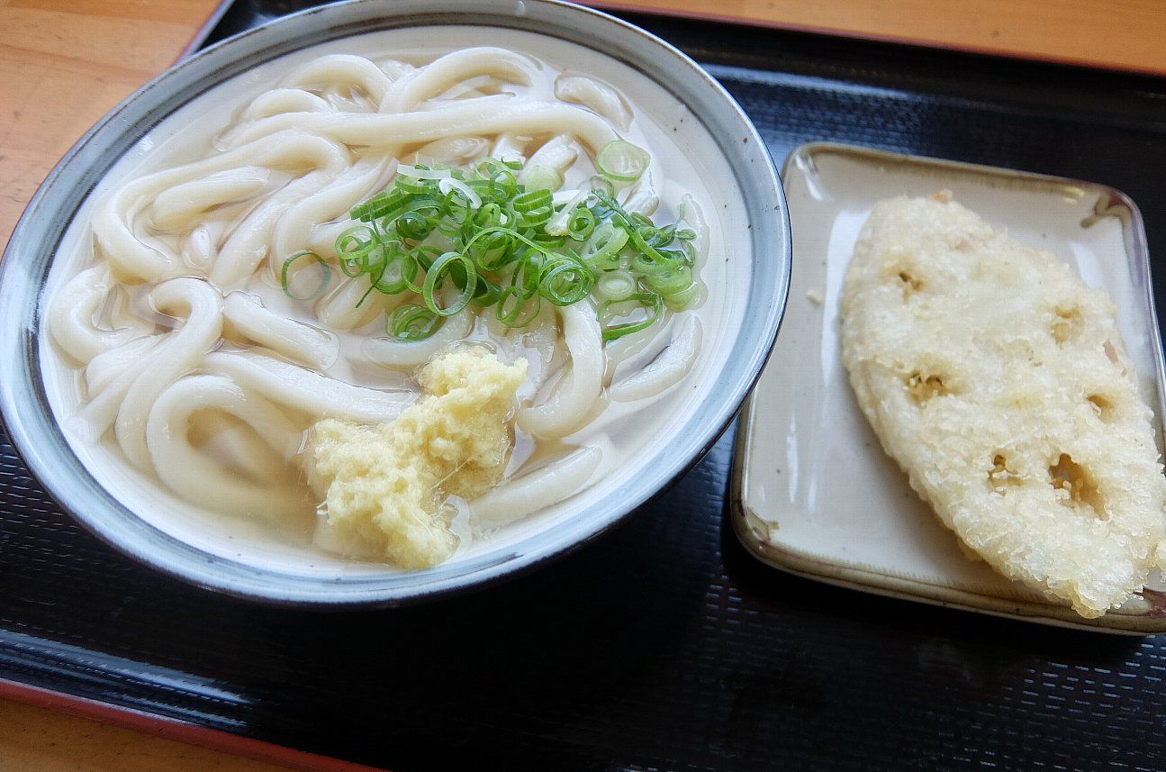 本日のさぬきうどん かけ小２２０円 ますや 春日町高松市香川県 本日のさぬき うどん 楽天ブログ