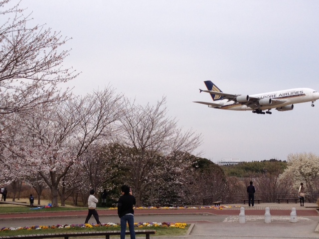 narita3.jpg