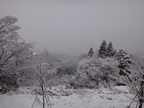 DSC03629.JPG