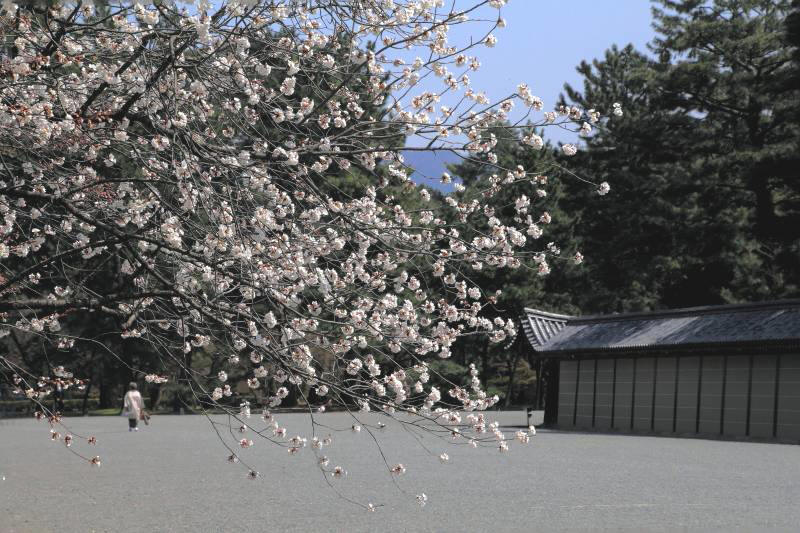 京都御所_004.jpg