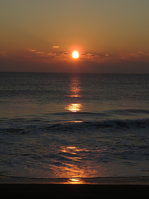 IMG_8121.jpg