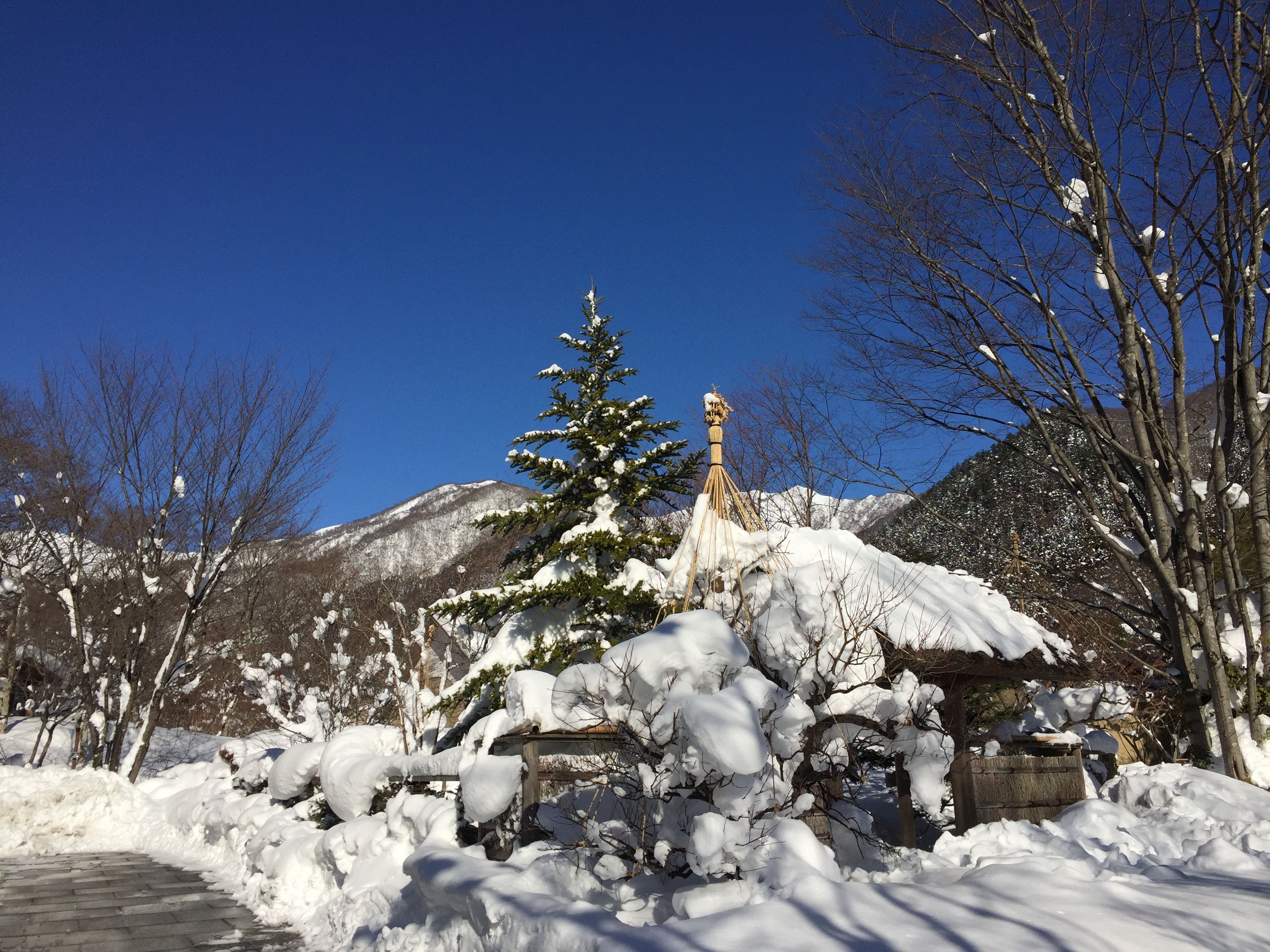 101朝_雪.JPG