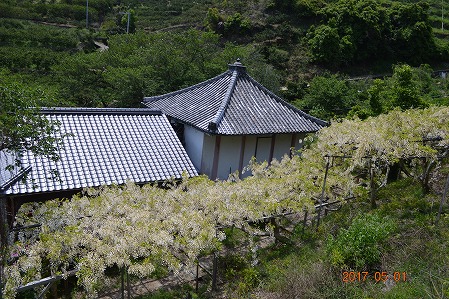 DSC_0119.jpg
