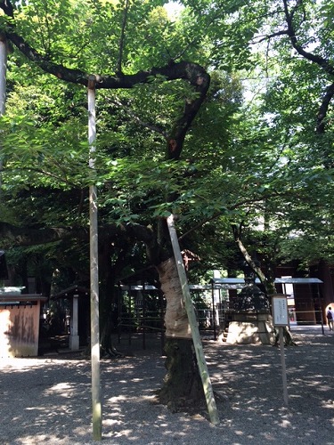 靖国神社7.jpg