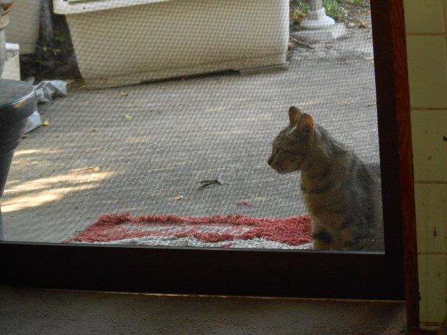 DSCN0229.JPG