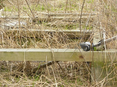 DSCN8904.jpg