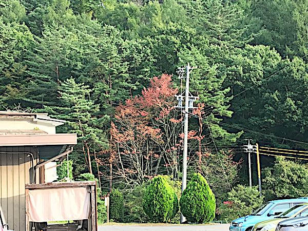 rblog-20181003165302-06.jpg
