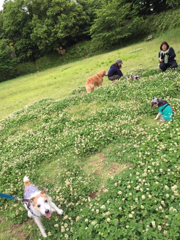 rblog-20160521021210-04.jpg
