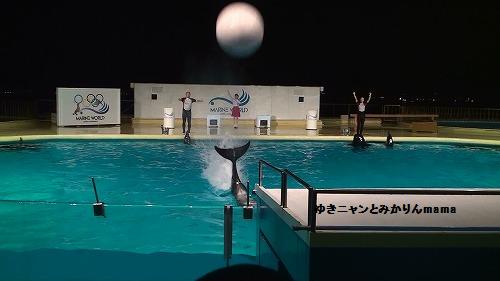 20120723202924(14).jpg