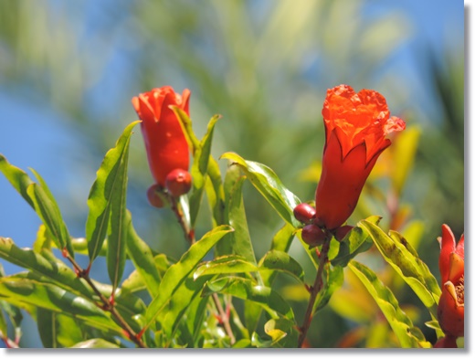 DSCN2357.JPG
