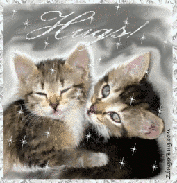 kitten_hugs2[1].gif