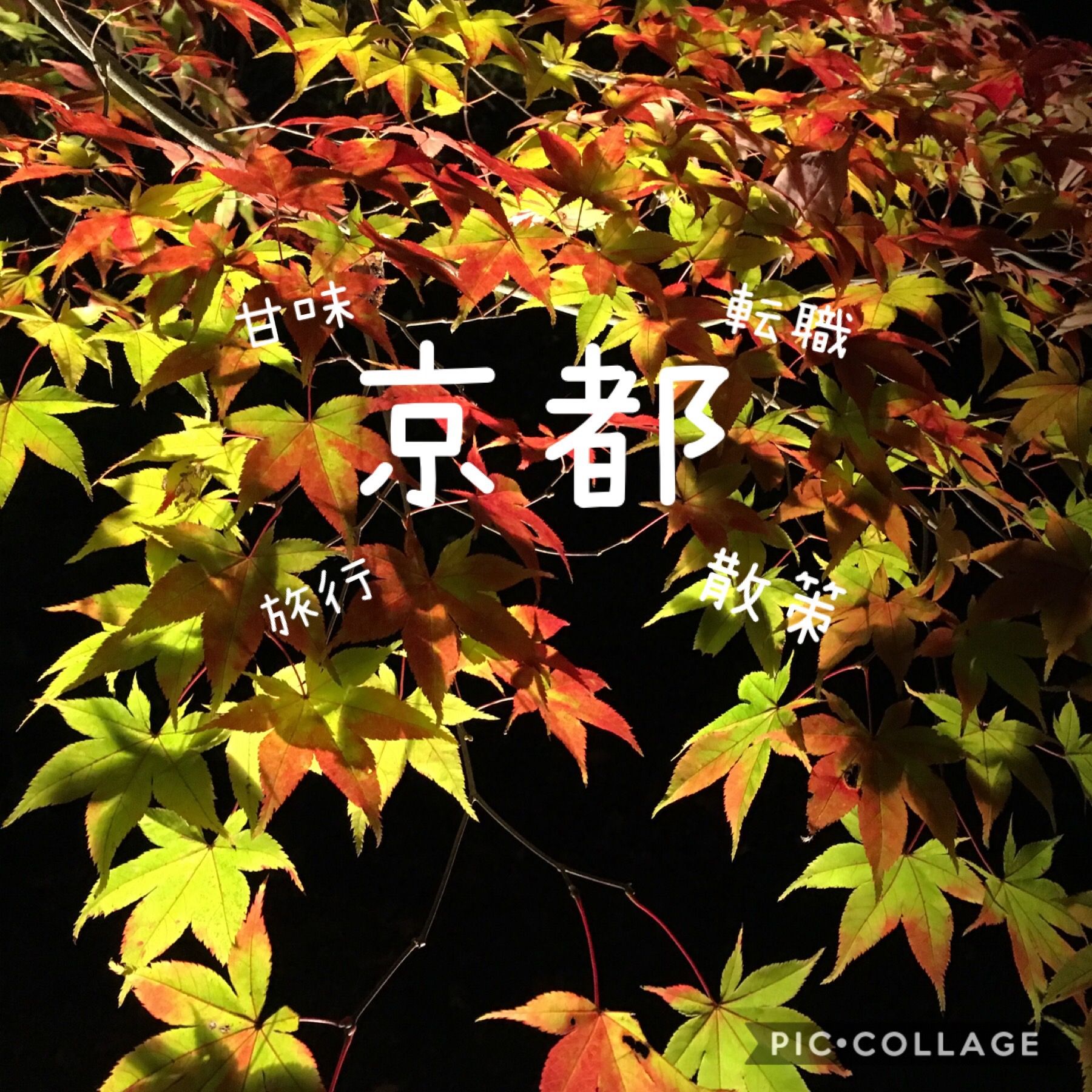 京都歩いて行こか♪　～物思ひにふけながら～