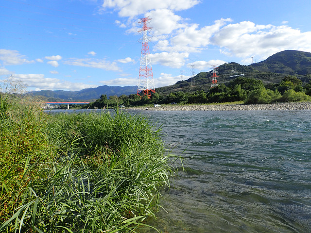 resize0008.jpg