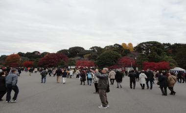 DSC02650_convert_20151211085211.jpg