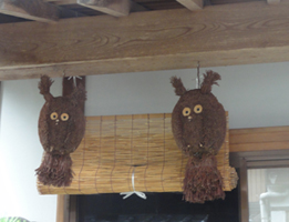 智頭杉ふくろう