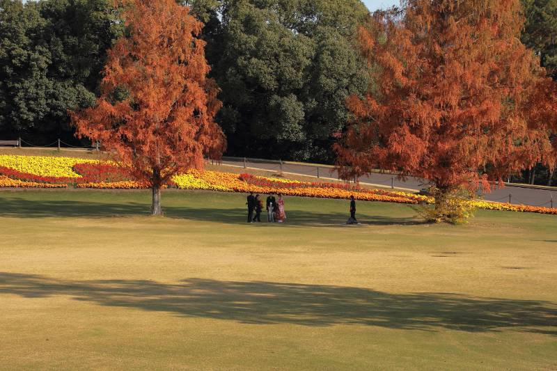 万博記念公園_002記念撮影.jpg