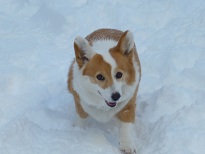 P1020329雪遊び.jpg