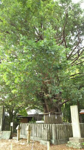 rblog-20170914180629-01.jpg