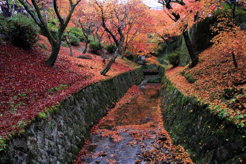 通天橋庭園_006.jpg