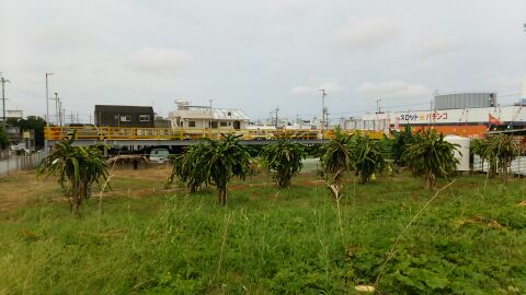 rblog-20140702205529-03.jpg
