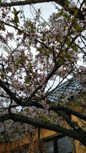 rblog-20180504103555-01.jpg