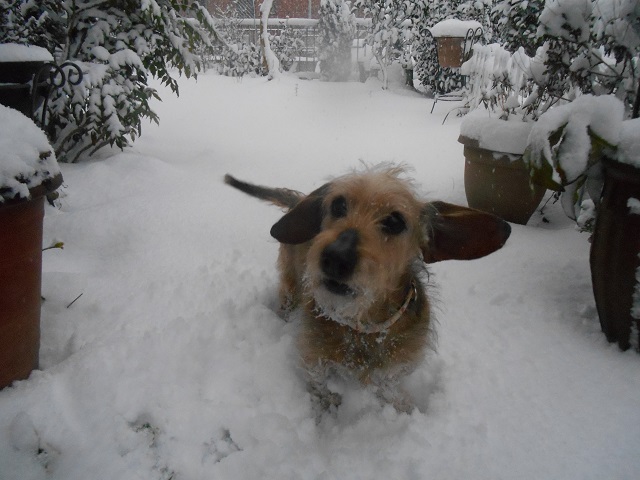 DSCN1553.JPG