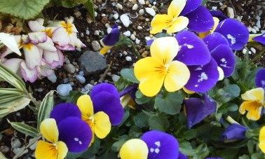 160321_1501~04.jpg