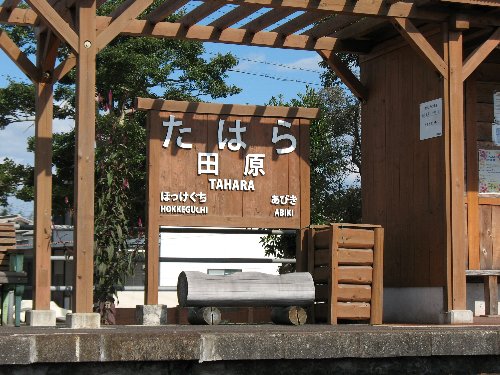 丸太利用のベンチ.jpg