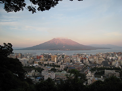 IMG_8238.jpg