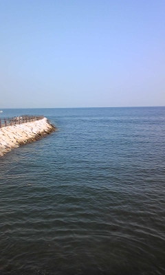 2009962155394Pe3.jpg