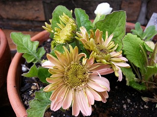 2015-04-14 09.51.53ss.jpg