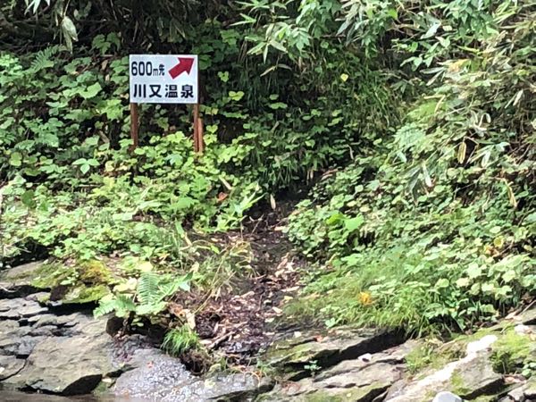 rblog-20180903102953-05.jpg
