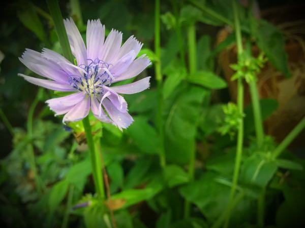 rblog-20160725204340-02.jpg