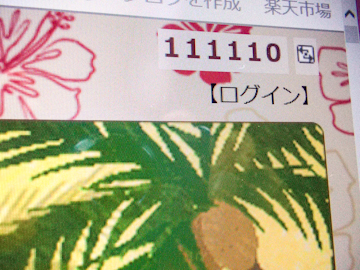 DSCN5473.jpg