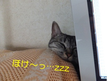 20121026_2.jpg