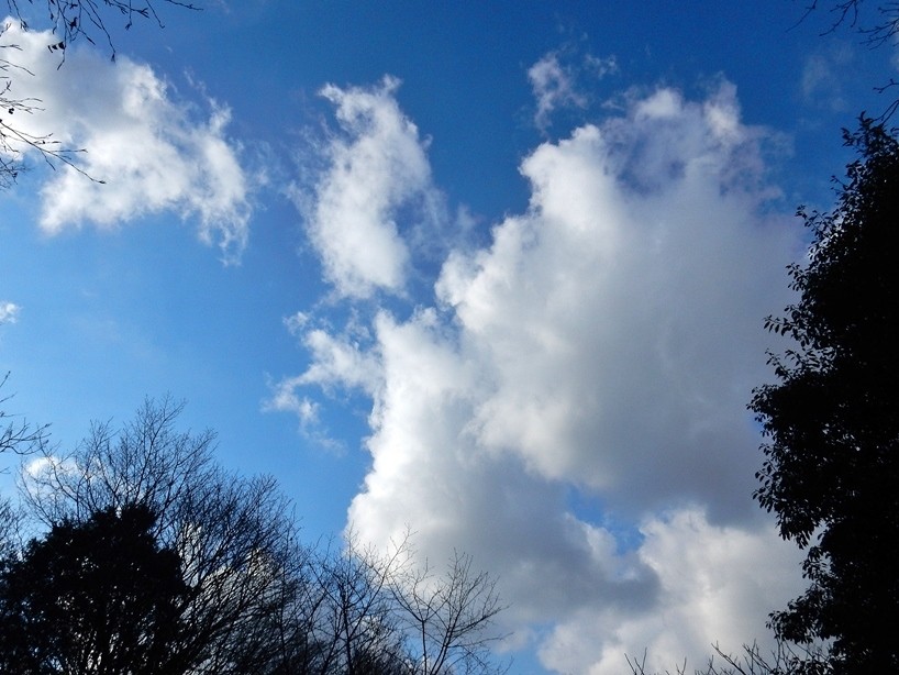 空