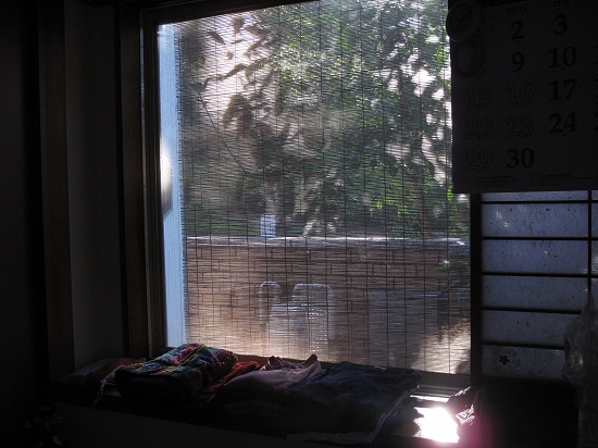 s-2013-09-28 07.14.09.jpg