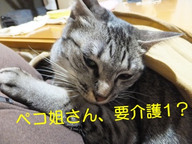 20121107_5.jpg