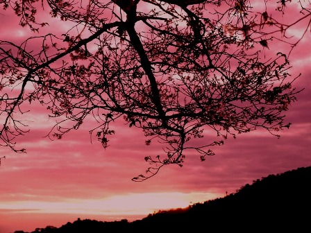  み‐な‐もに映る夕日