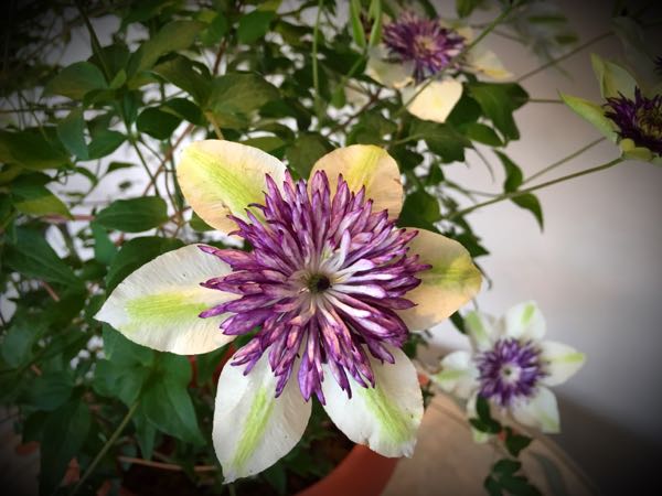 rblog-20150509202832-02.jpg