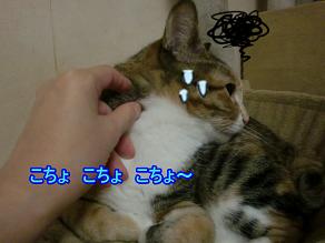 福こちょこちょ.JPG