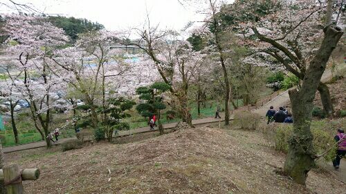 rblog-20160406003550-03.jpg