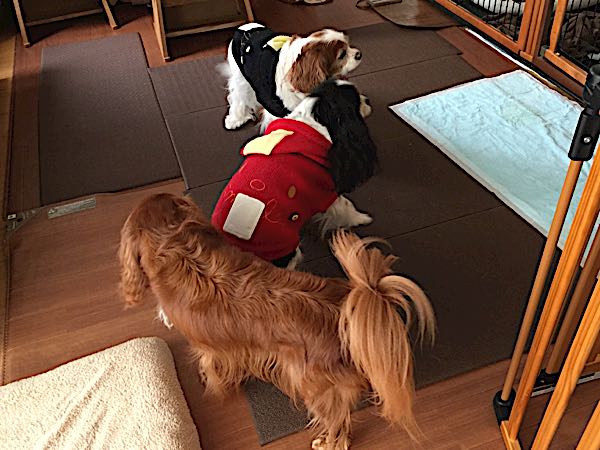 rblog-20161125165817-02.jpg