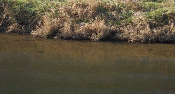 20141219朝3.jpg