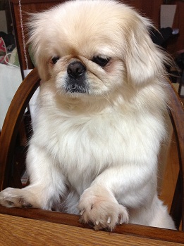 20130225.jpg