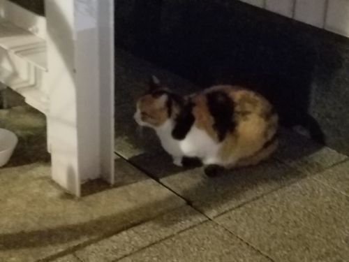 rblog-20181125131151-05.jpg