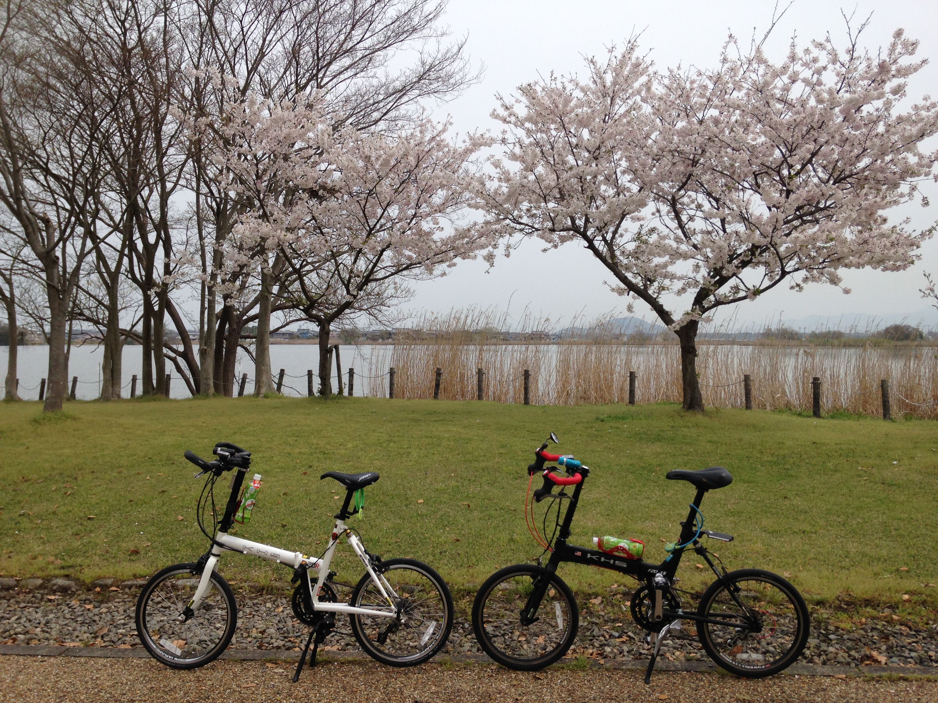 自転車 あさひ 彦根