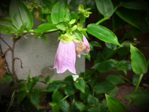 rblog-20160630184033-06.jpg