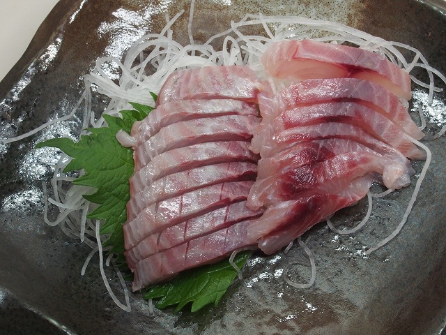 P5190551.jpg