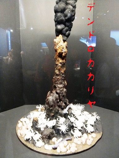 デンドロカカリヤ？.dib